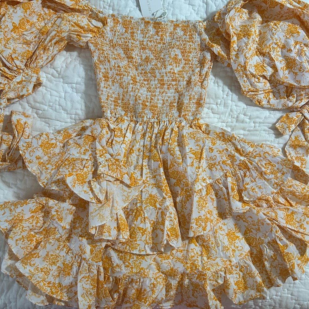 Caroline Constas Orange and White Floral Ruffled Dress
